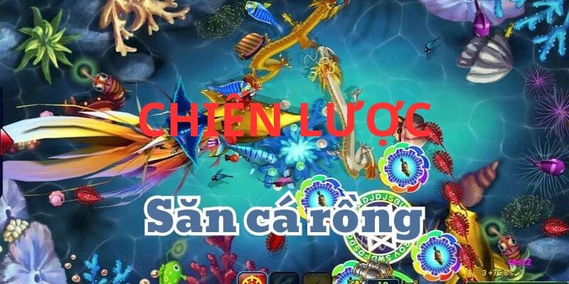 Thủ thuật chơi bắn cá apk hiệu quả cho tân thủ