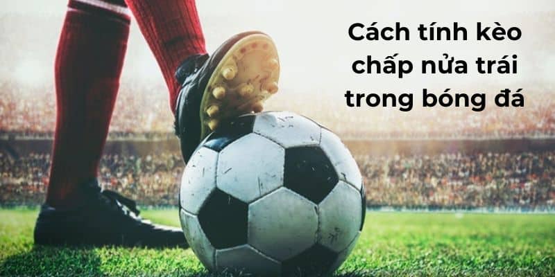 Hướng dẫn tính kèo chắp nửa trái trong bóng đá 