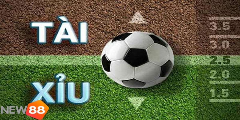 cách tính tài xỉu bóng đá Hướng dẫn cách tính tài xỉu bóng đá đầy đủ và chi tiết nhất
