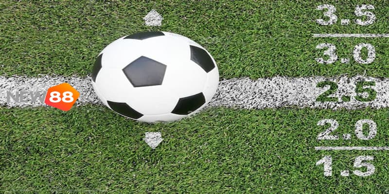 kèo tài xỉu 2.5 Kèo tài xỉu 2.5 là gì?