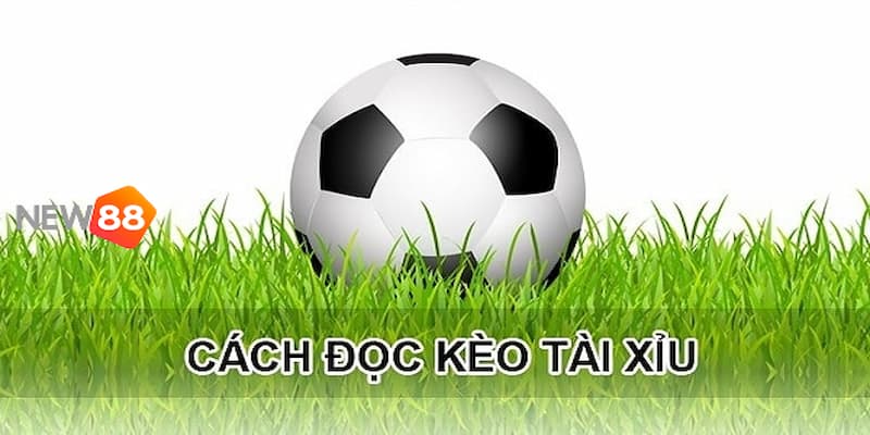 kèo tài xỉu 2.5 Hiểu rõ về kèo tài xỉu 2.5 trái trong cá cược bóng đá