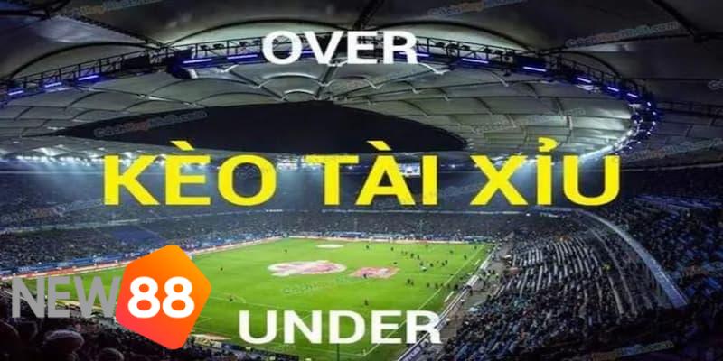 tài xỉu 2 trái là sao tài xỉu 2 trái là sao