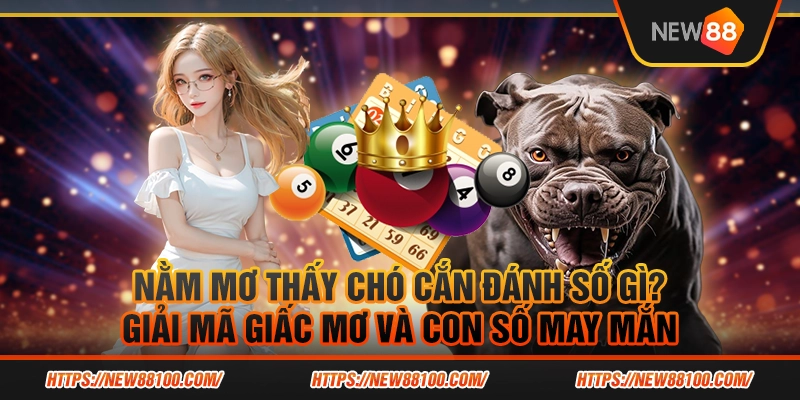 Nằm mơ thấy chó cắn đánh số gì? Phân tích giấc mơ và các con số may mắn