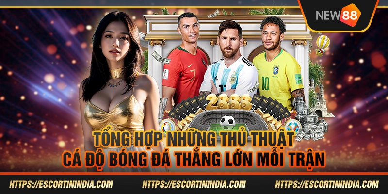 Cách nghe vị xóc đĩa - Hướng dẫn chi tiết cho người mới