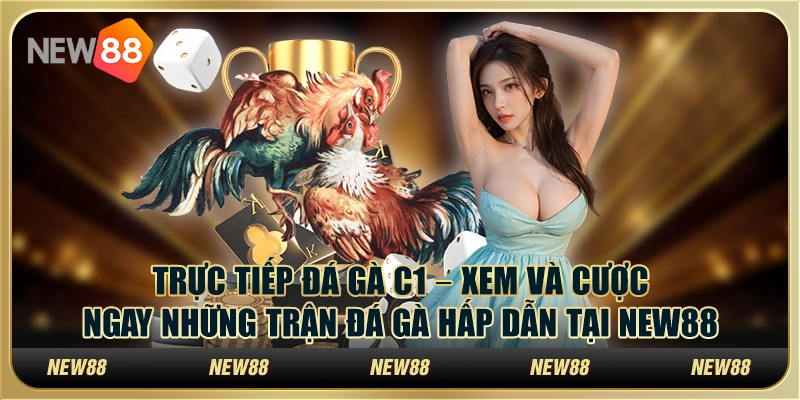 Đá gà trực tiếp C1 – Xem và cược ngay những trận đá gà hấp dẫn tại New88