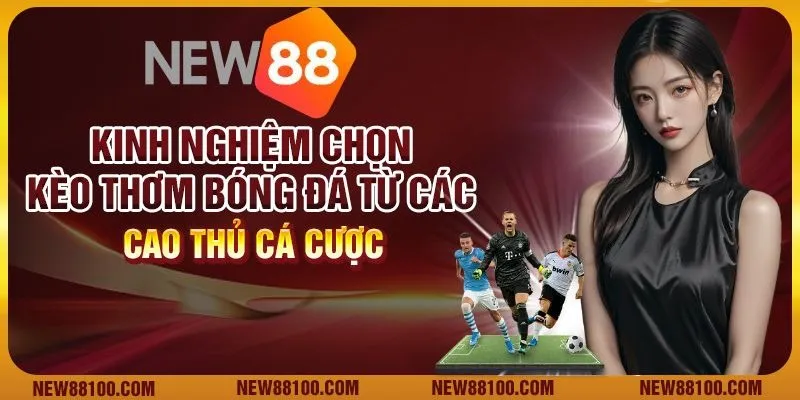 Kinh nghiệm chọn kèo thơm bóng đá từ các cao thủ cá cược