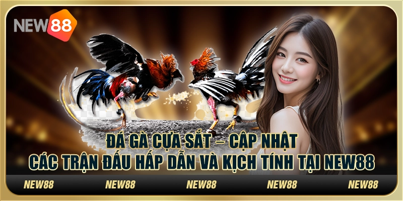 Đá gà cựa sắt – Cập nhật các trận đấu hấp dẫn và kịch tính tại New88