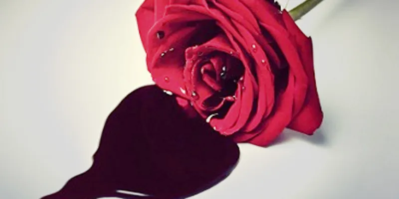 Mối liên hệ giữa máu chảy và sức khỏe