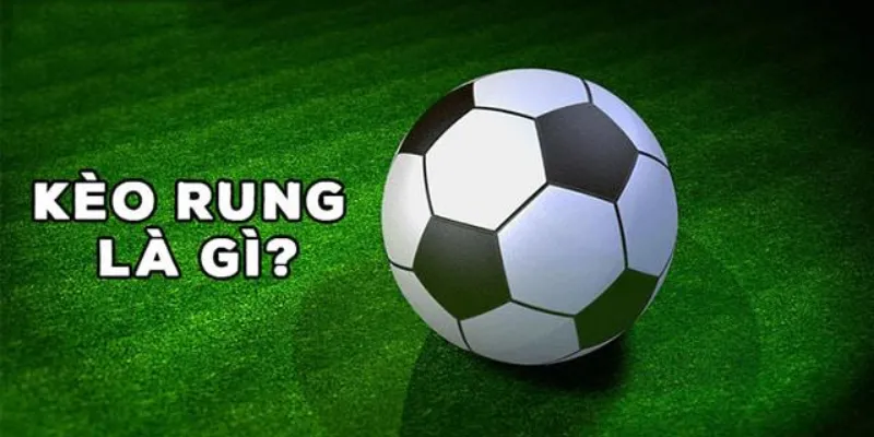 Giải thích khái niệm và các loại kèo rung