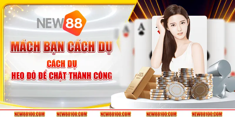 Bật mí các cách dụ heo đỏ để chặt cực thành công
