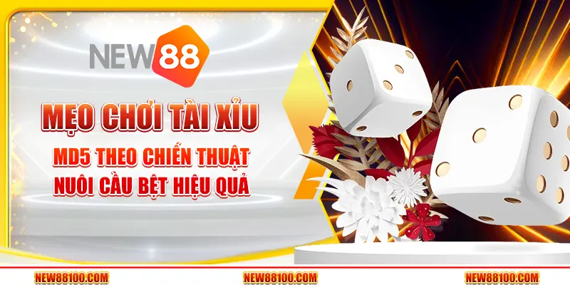 Mẹo đánh tài xỉu MD5 theo chiến thuật nuôi cầu bệt hiệu quả