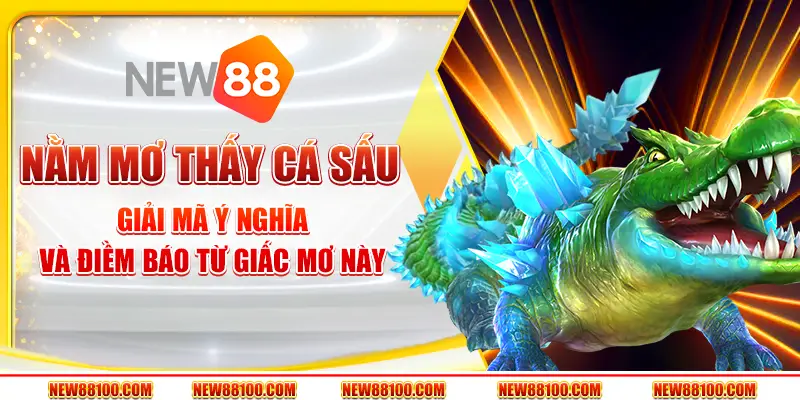 Nằm mơ thấy cá sấu: Giải mã ý nghĩa và điềm báo từ giấc mơ này