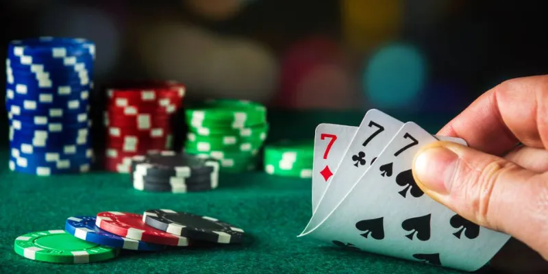 Một số thông tin nổi bật về bài cào