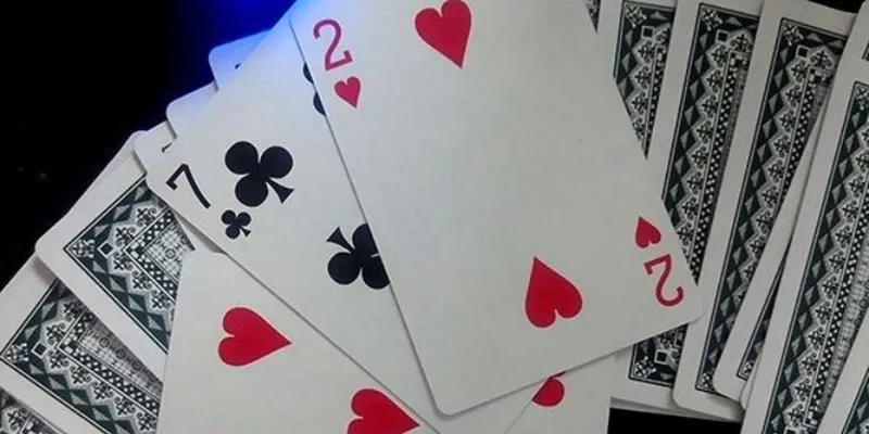 Không nên dụ heo đỏ khi nào?