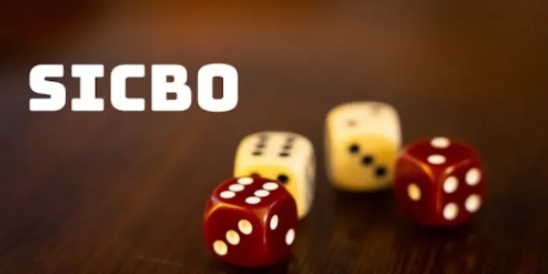 Tìm hiểu sơ lược về Sicbo