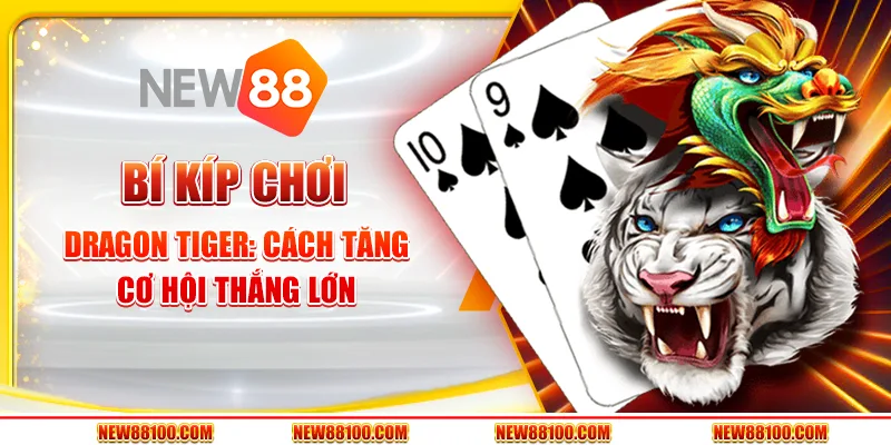 Bí kíp chơi Dragon Tiger - Cách tăng cơ hội thắng lớn
