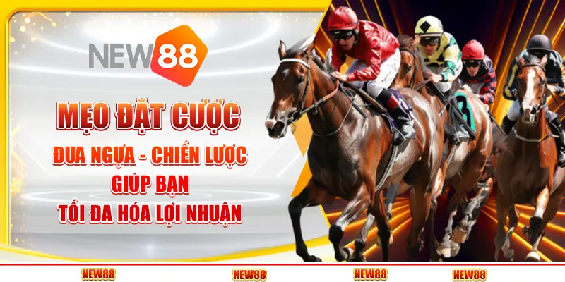 Mẹo đặt cược đua ngựa - Những chiến lược cược an toàn và hiệu quả