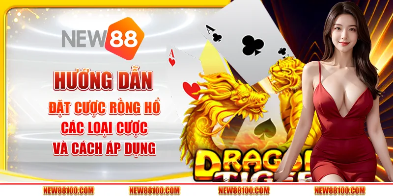 Hướng dẫn cách đặt cược Rồng Hổ - Các loại cược và cách áp dụng