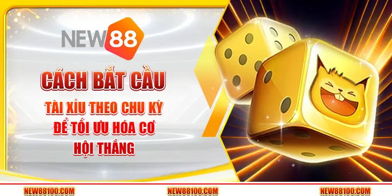 Cách bắt cầu tài xỉu theo chu kỳ để tối ưu hóa cơ hội thắng