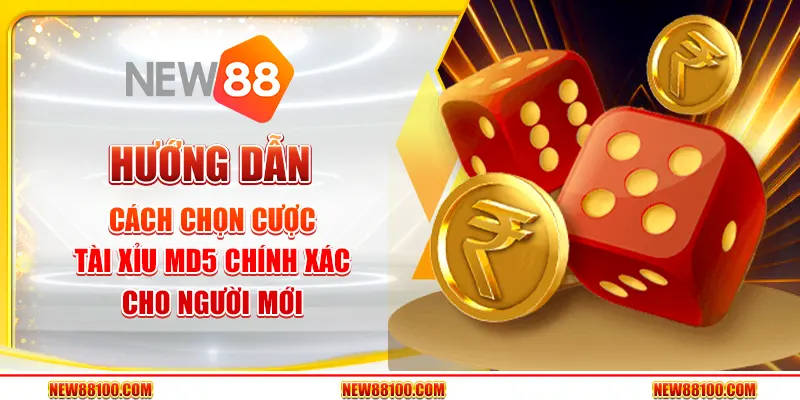 Hướng dẫn cách chọn cược tài xỉu MD5 chính xác cho người mới