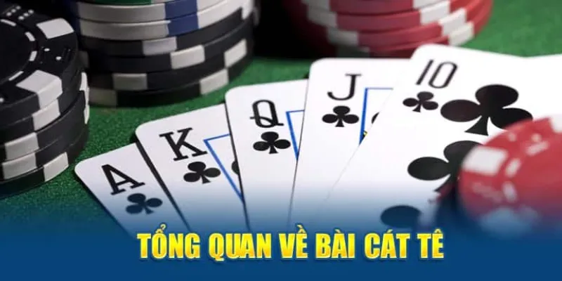 Thuật ngữ và quy tắc cơ bản trong bài Catte đổi thưởng