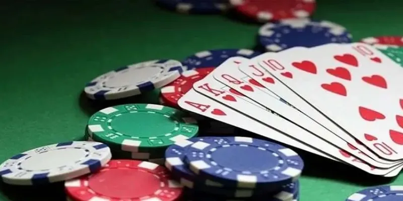 Mẹo giúp bạn thắng lớn khi chơi bài Catte đổi thưởng