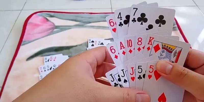 Tìm hiểu tổng quan về bài Sâm