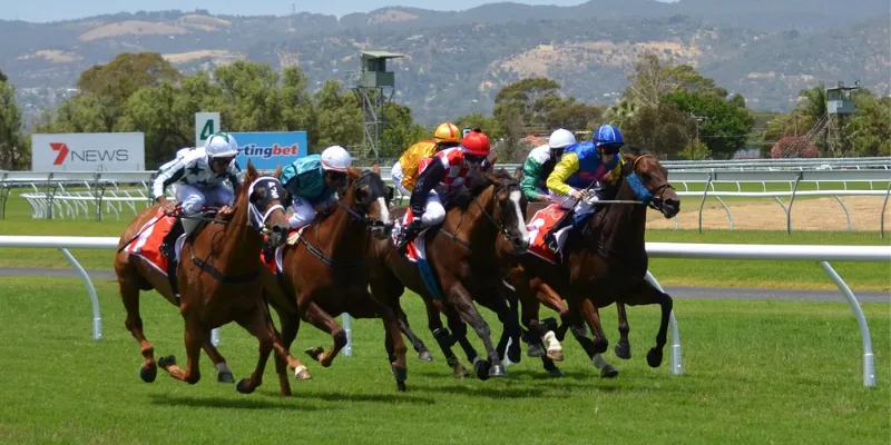 Tìm hiểu về cược đua ngựa