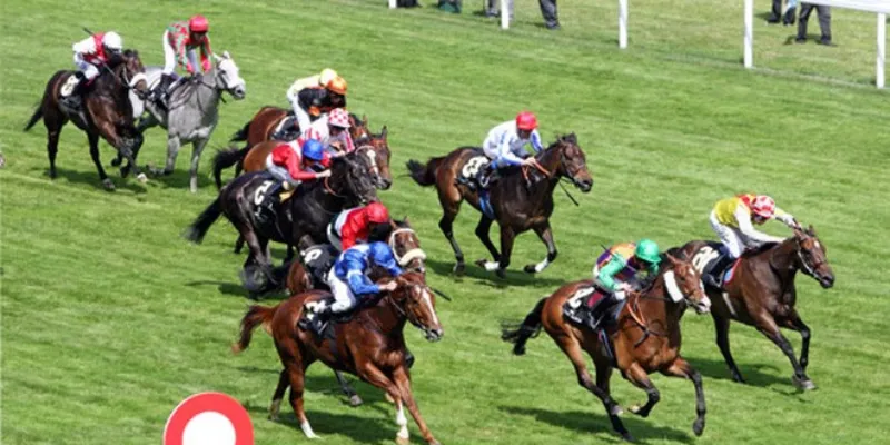 Chia sẻ mẹo đặt cược đua ngựa hiệu quả cho anh
