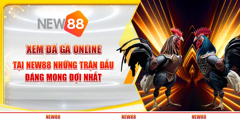 Xem đá gà online tại New88 - Những trận đấu đáng mong đợi nhất