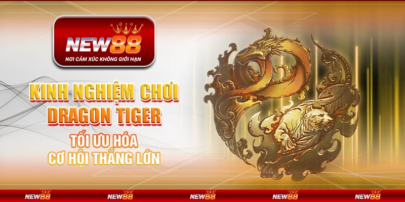 Kinh nghiệm chơi Dragon Tiger - Tối ưu hóa cơ hội thắng lớn