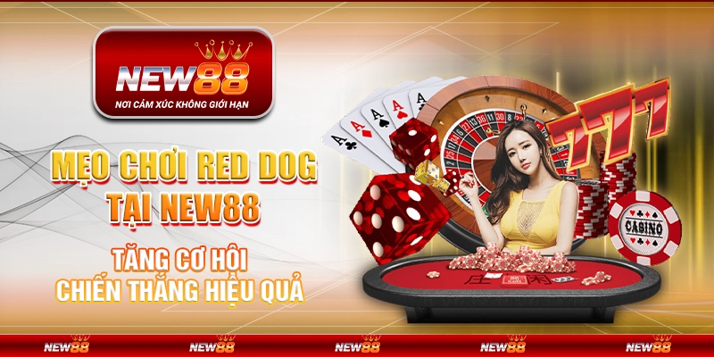 Mẹo chơi Red Dog tại New88 - Tăng cơ hội chiến thắng hiệu quả