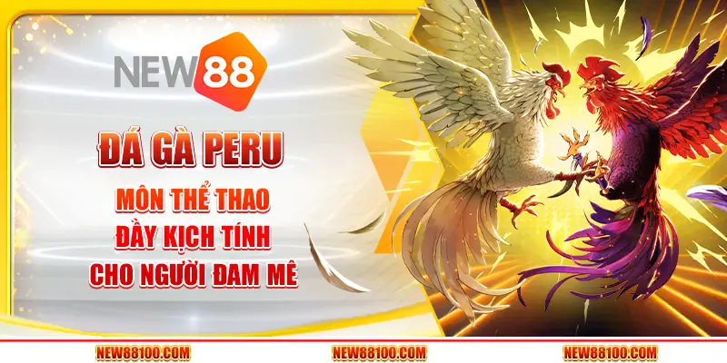 Đá gà Peru tại New88 - Môn thể thao đầy kịch tính cho người đam mê