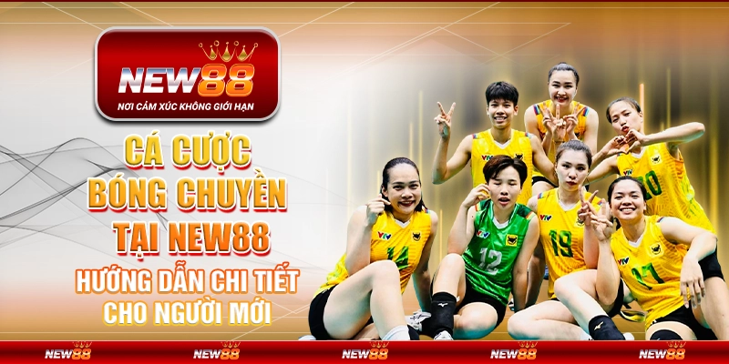 Cá cược bóng chuyền tại New88 - Hướng dẫn chi tiết cho người mới