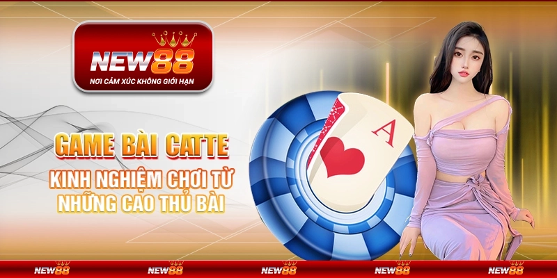 Game bài catte tại New88 - Kinh nghiệm chơi từ những cao thủ bài