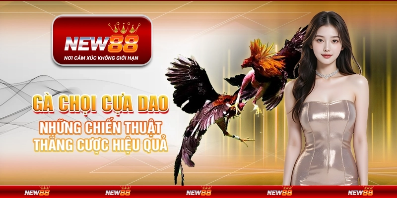 Gà chọi cựa dao tại New88 - Những chiến thuật thắng cược hiệu quả