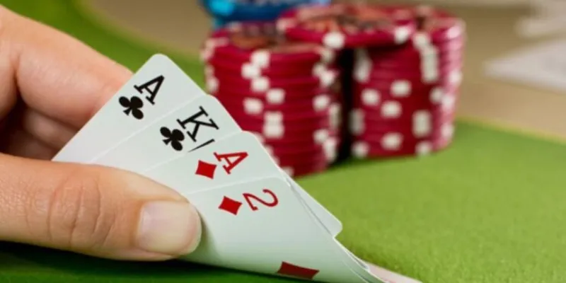 Cách đặt cược trong game bài catte tăng tỷ lệ thắng tại New88