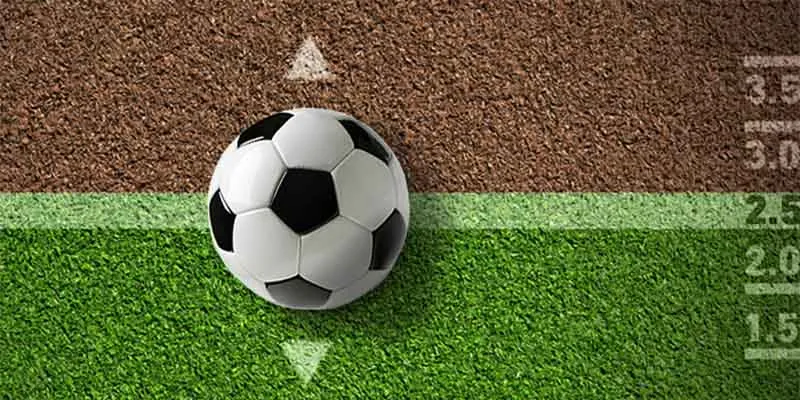 Hướng dẫn cách đọc tỷ lệ kèo bóng đá chính