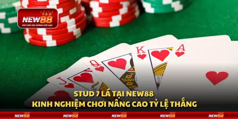 Stud 7 lá tại New88 - Kinh nghiệm chơi nâng cao tỷ lệ thắng