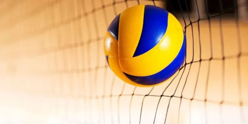 Đôi nét về cá cược bóng chuyền