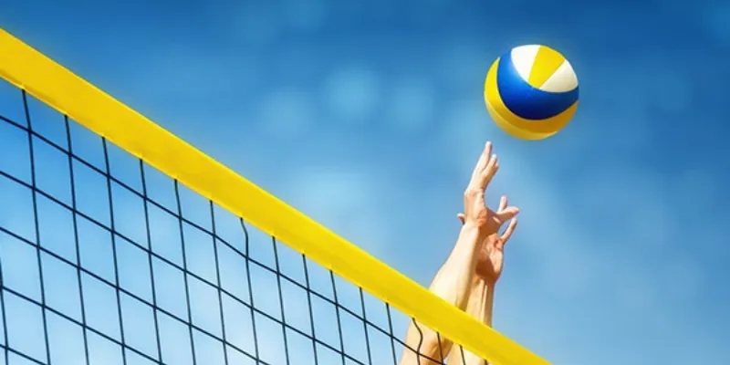 Một số loại kèo cược phổ biến trong bóng chuyền