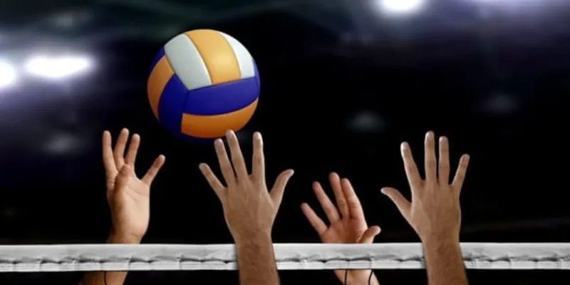 Chia sẻ mẹo cá cược bóng chuyền giúp tăng tỷ lệ thắng tại New88