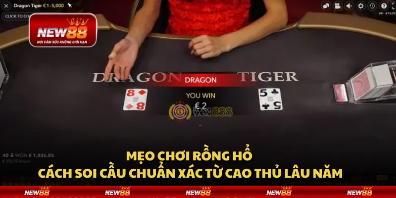 Mẹo chơi Rồng Hổ - Cách soi cầu chuẩn xác từ cao thủ lâu năm