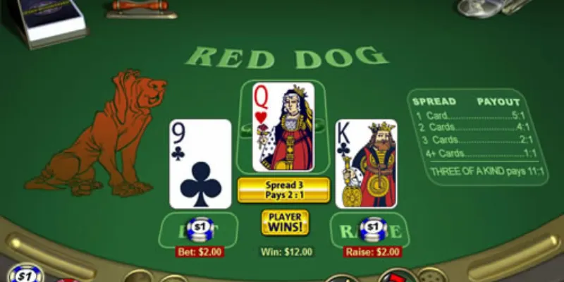 Tìm hiểu luật chơi Red Dog chi tiết từ A đến Z