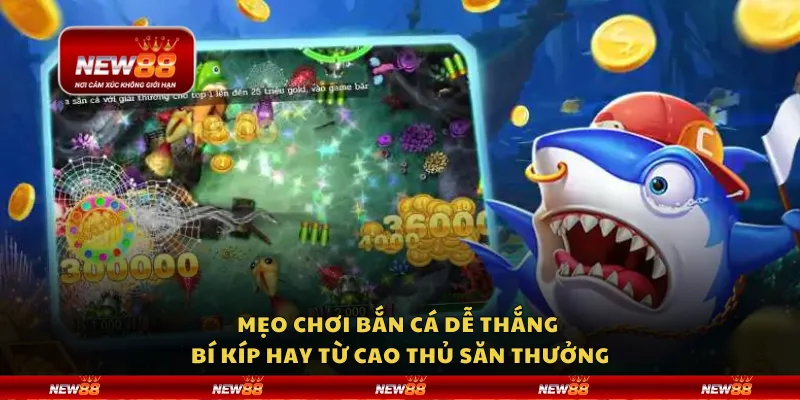 Mẹo chơi bắn cá dễ thắng - Bí kíp hay từ cao thủ săn thưởng