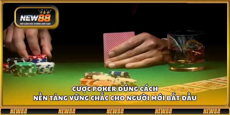 Cược Poker đúng cách – Nền tảng vững chắc cho người mới bắt đầu