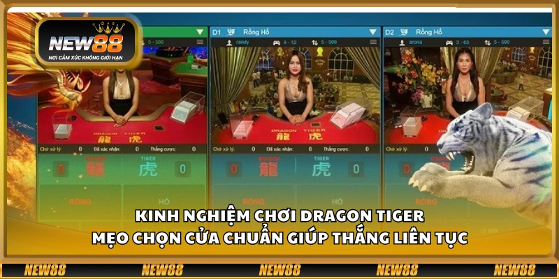 Kinh nghiệm chơi Dragon Tiger – Mẹo chọn cửa chuẩn giúp thắng liên tục