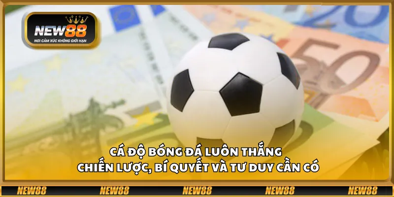 Cá độ bóng đá luôn thắng – Chiến lược, bí quyết và tư duy cần có