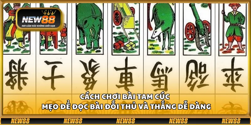 Cách chơi bài Tam Cúc – Mẹo để đọc bài đối thủ và thắng dễ dàng