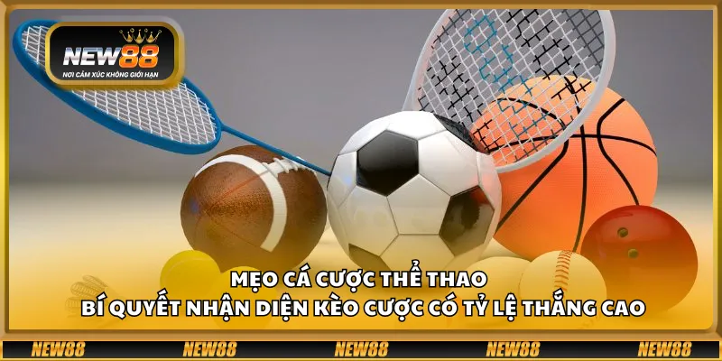 Mẹo cá cược thể thao – Bí quyết nhận diện kèo cược có tỷ lệ thắng cao